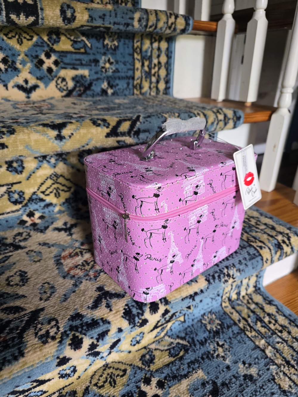 Pink Paris Print Train Case Vanity Bag
